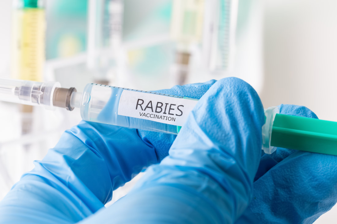 Rabies vaccine, lyssinum, rabid dog saliva, anke zimmermann, bonnie henry